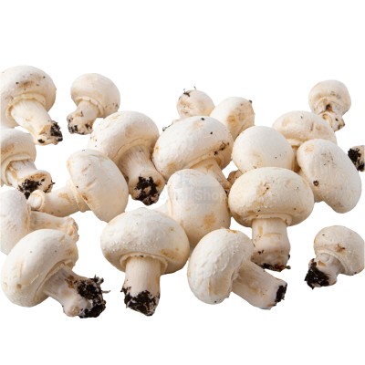 Шампиньоны свежие 500 г - купить в Лойме